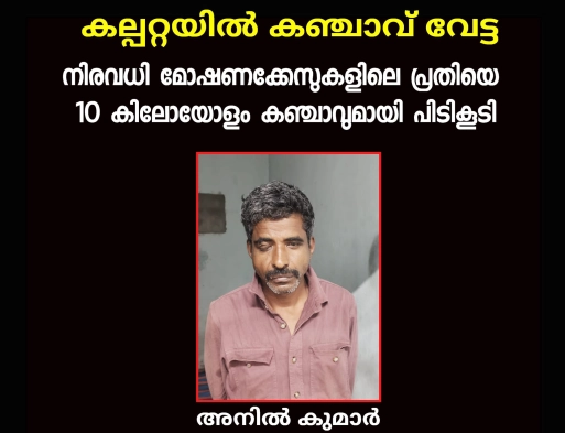 കഞ്ചാവുമായി പിടിയില്‍